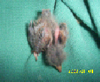 wp5099cee3.png